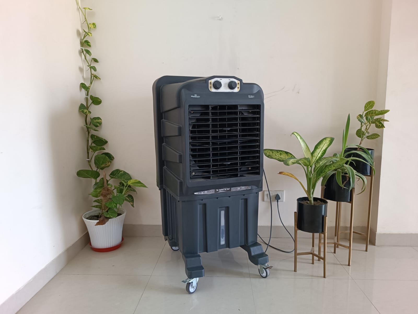 product-detail-rentloco